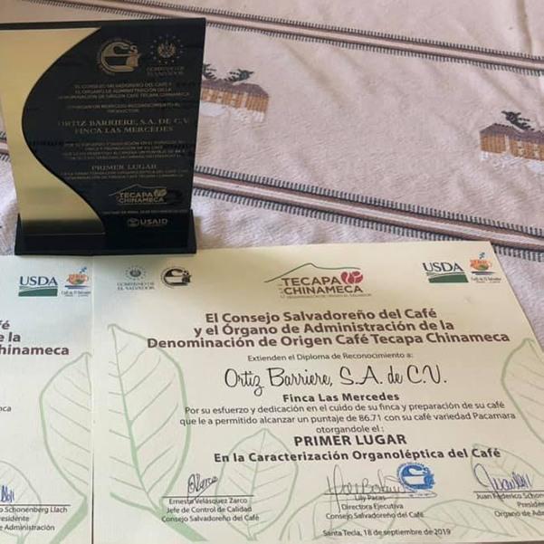 1st Place Tecapa Award-Pacamara
