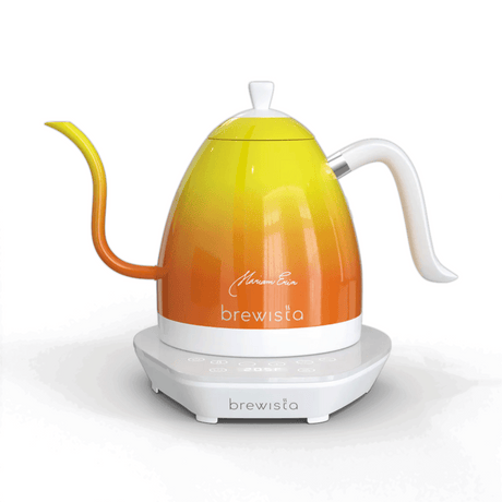 For a precise pour over, use an electric gooseneck kettle