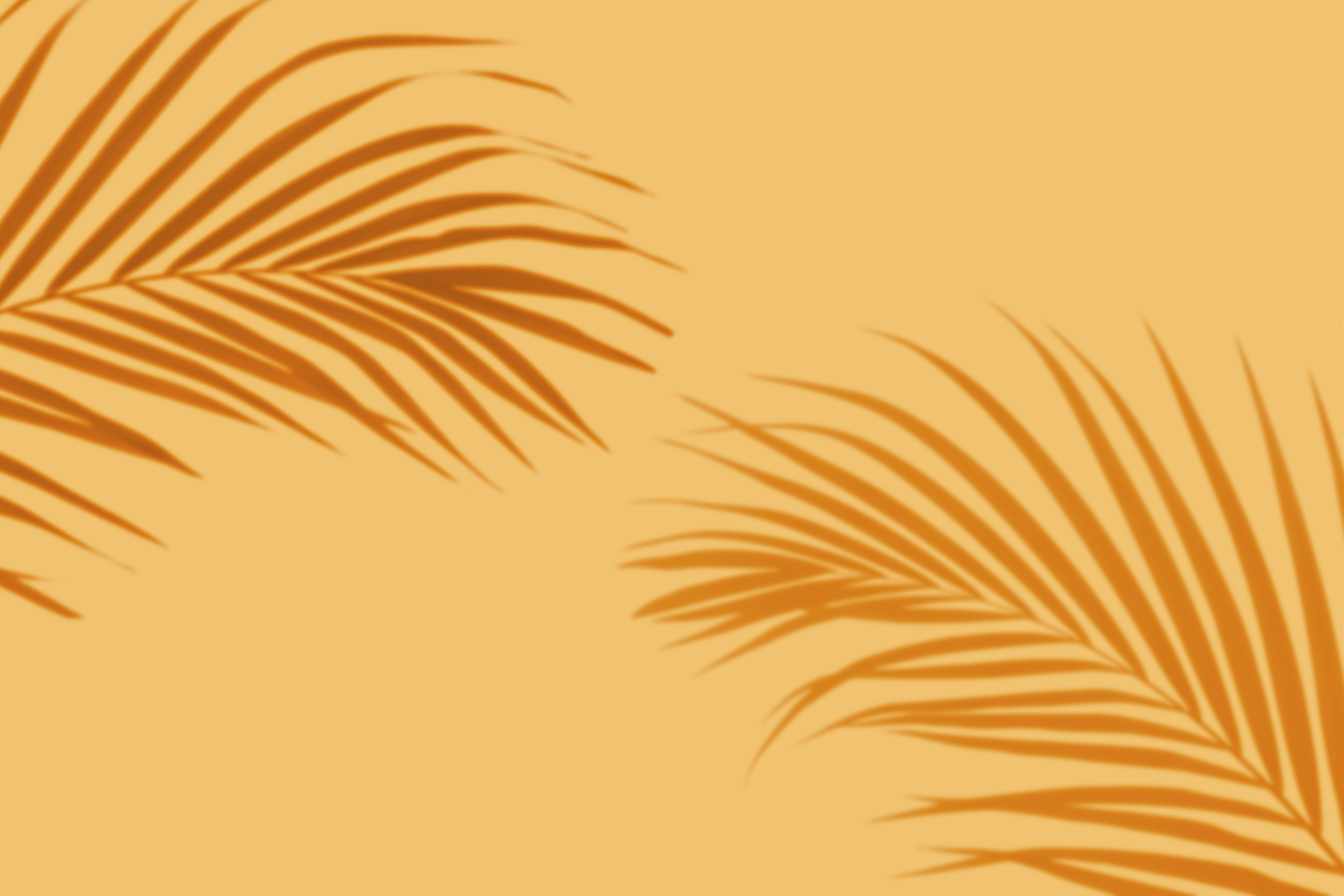 Background of an orange wall with palm tree shadows. 
