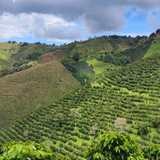 Col-las-flores-farm