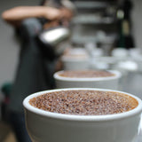 Seed to Cup - How Does Coffee Get Its Flavor?