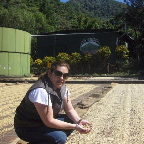 El Salvador Las Mercedes Pacamara Washed - Klatch Coffee Roasting