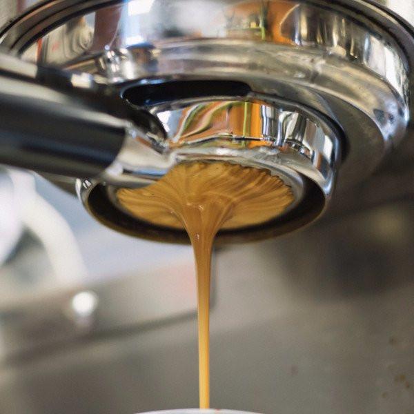 Mistletoe Espresso extraction