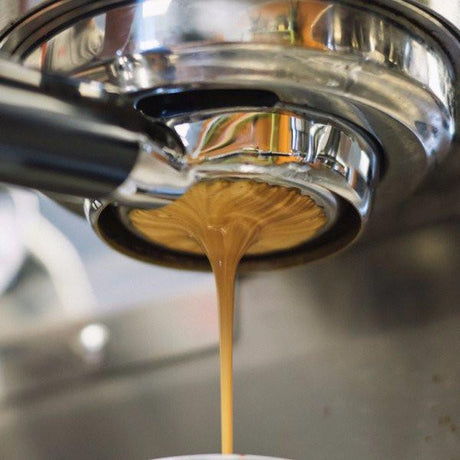 Mistletoe Espresso extraction